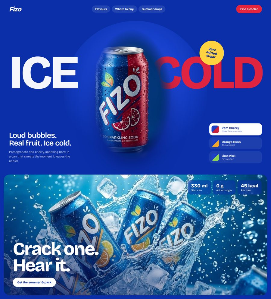 Fizo website design